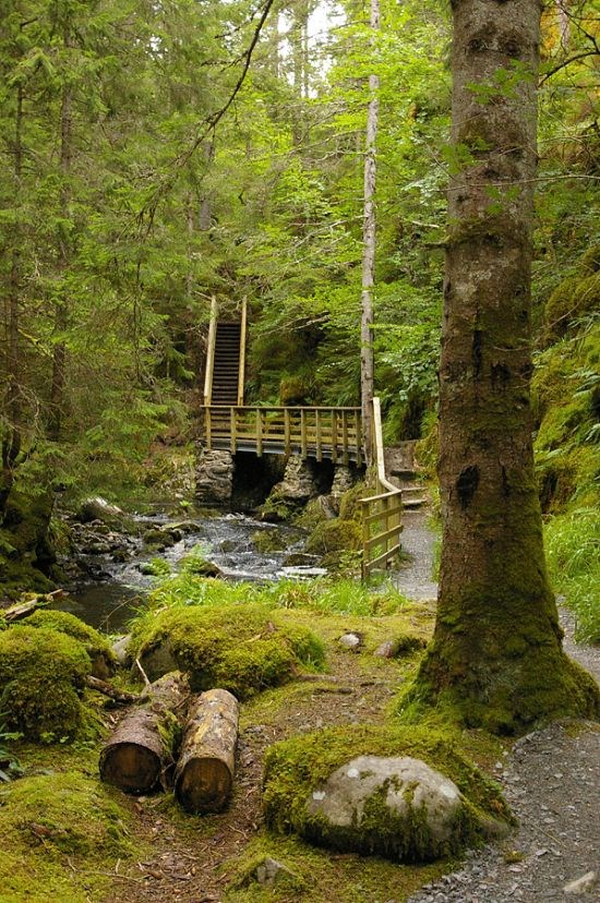 footpath-ravens-rock-gorge